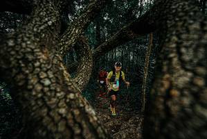 BIB: 
                            <button type="button" onclick="openModal(25679690)" class="btn btn-primary btn-sm float-right btn-popup" data-toggle="modal" data-target=".modal-high-quality">
                        <i class="fas fa-shopping-cart"></i> Add to Cart
                    </button>
                                            <button type="button" onclick="isThisMe(25679690, true)" class="btn btn-success btn-sm float-right btn-popup btn-isme hidden" data-toggle="tooltip" data-placement="bottom" title="นี่คือรูปของคุณใช่ไหม คลิกที่นี่เพื่อเอาเข้าอัลบั้ม">
                        <i class="fas fa-plus"></i> Add to album
                    </button>
                    <button type="button" onclick="isThisMe(25679690, false)" class="btn btn-warning btn-sm float-right btn-popup btn-isnotme hidden">
                        <i class="fas fa-ban"></i> Remove from album
                    </button>